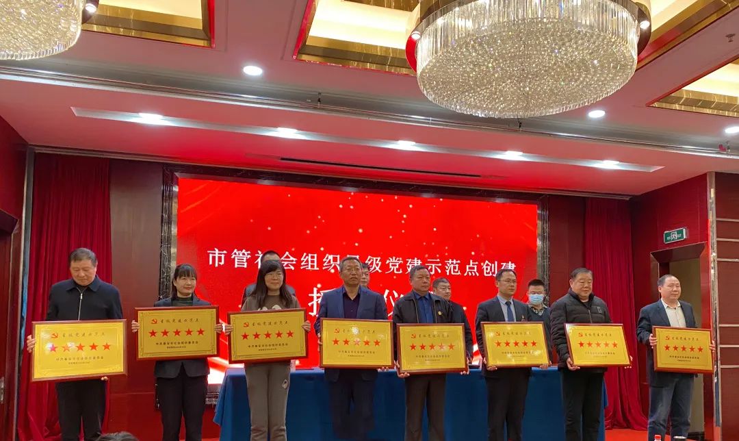 喜报||我会喜获多项荣誉(图3)
