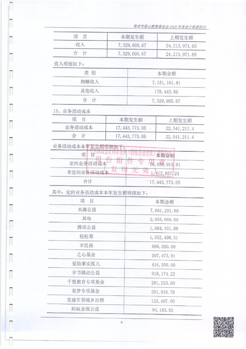 泰山慈善基金会2025年审计报告(图15)