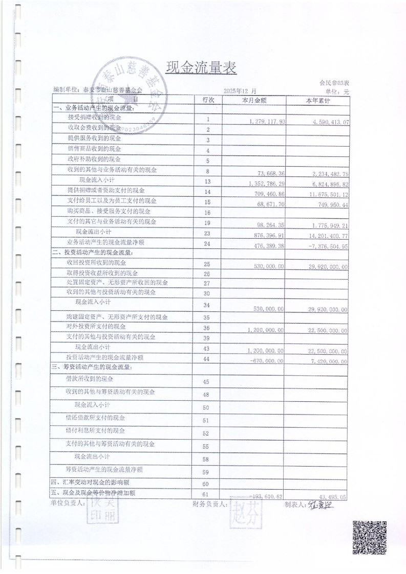 泰山慈善基金会2025年审计报告(图8)