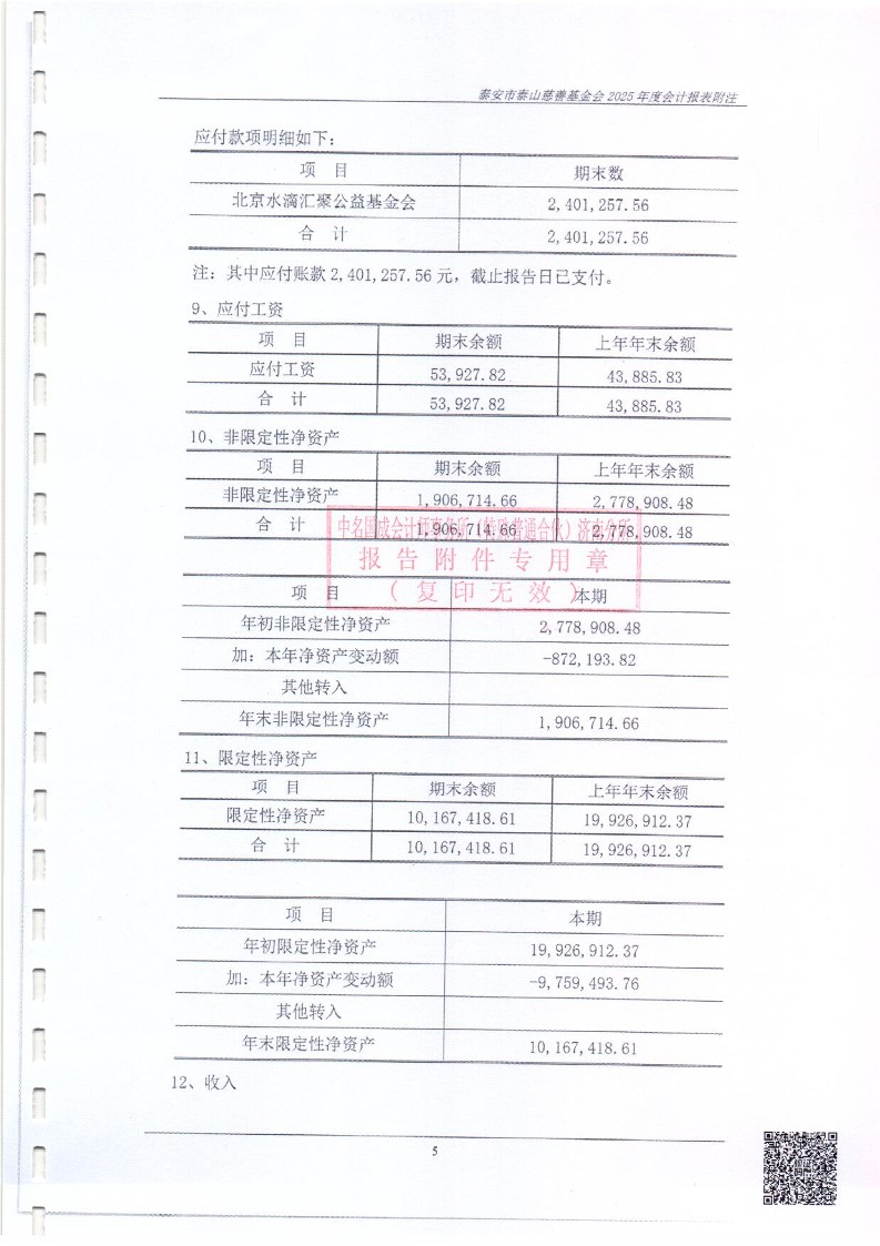 泰山慈善基金会2025年审计报告(图14)