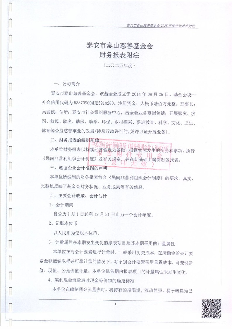 泰山慈善基金会2025年审计报告(图10)