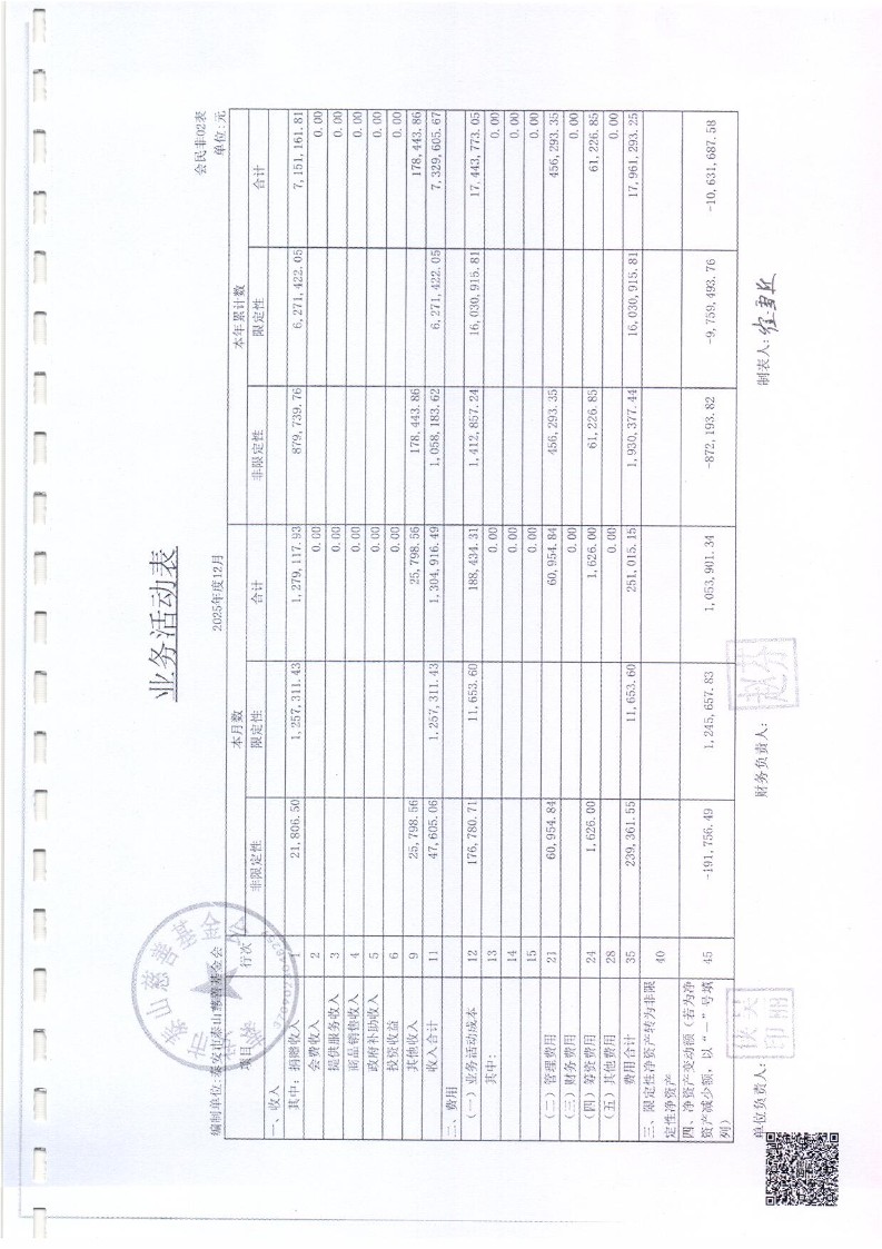 泰山慈善基金会2025年审计报告(图7)